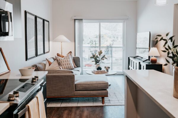 Apartment Living Area and Kitchen