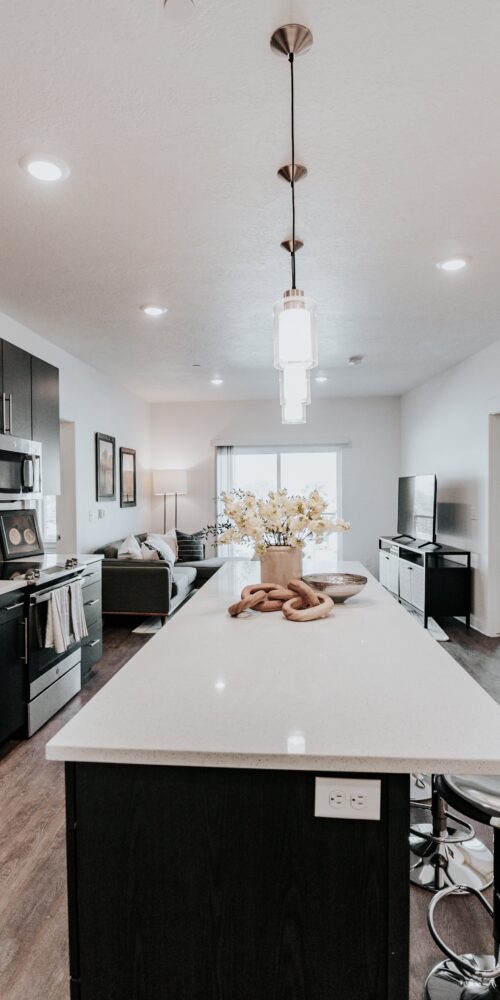 Apartment Kitchen with Appliances