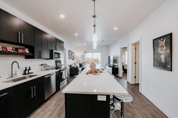 Apartment Kitchen with Appliances