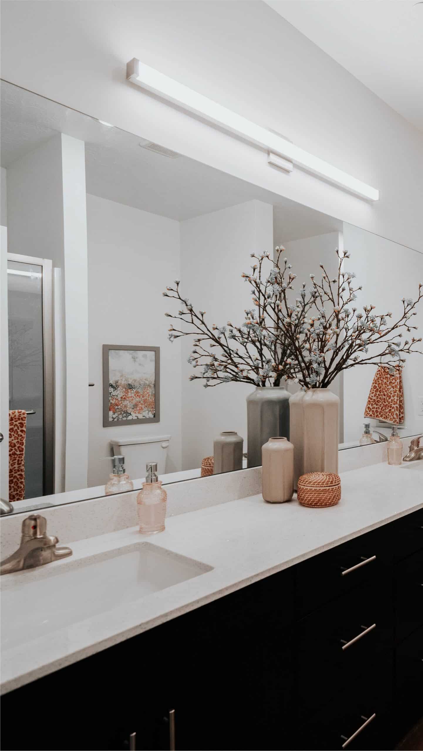 Bathroom Mirror and Vanity